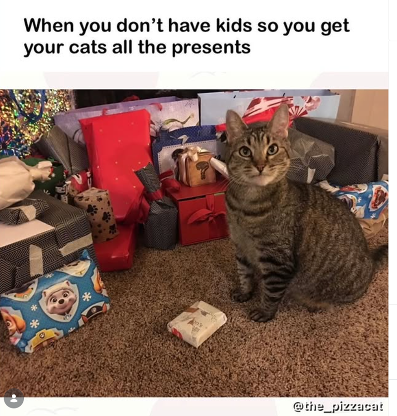 When you don't have kids so you get your cats all the presents * gs @the_pizzacat