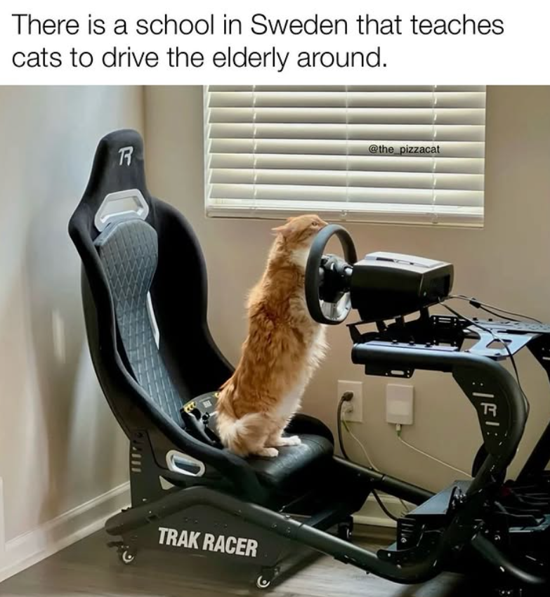 There is a school in Sweden that teaches cats to drive the elderly around. R 218000 @the_pizzacat TRAK RACER ن E