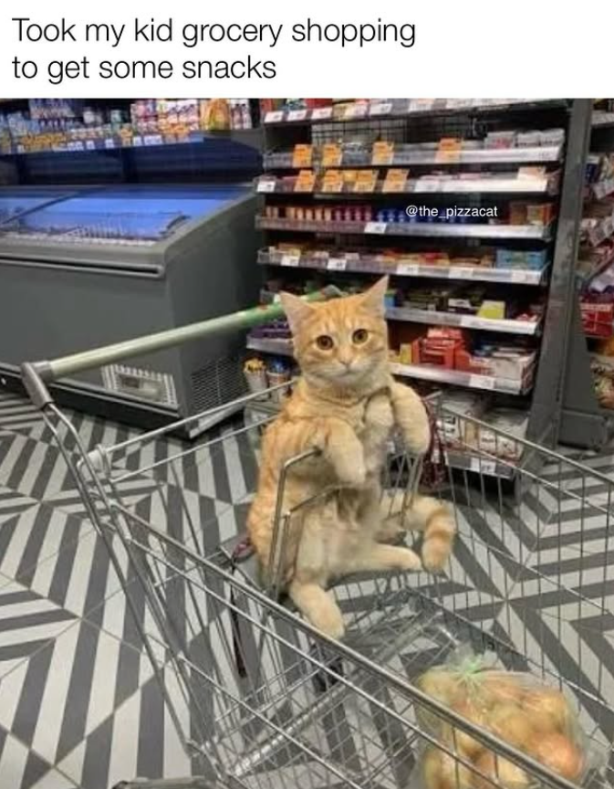 Took my kid grocery shopping to get some snacks @the_pizzacat