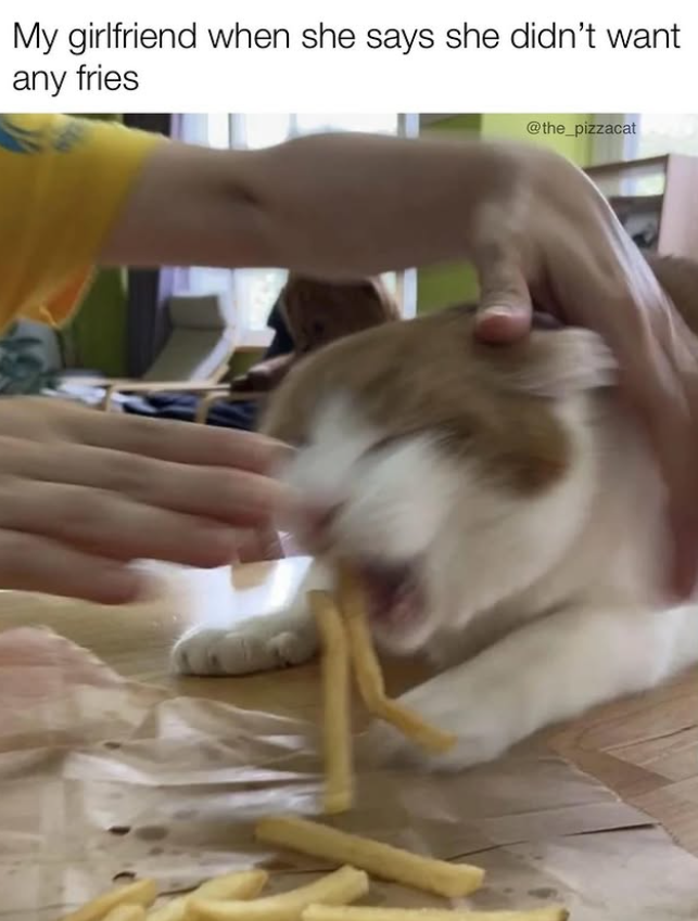 My girlfriend when she says she didn't want any fries V @the_pizzacat
