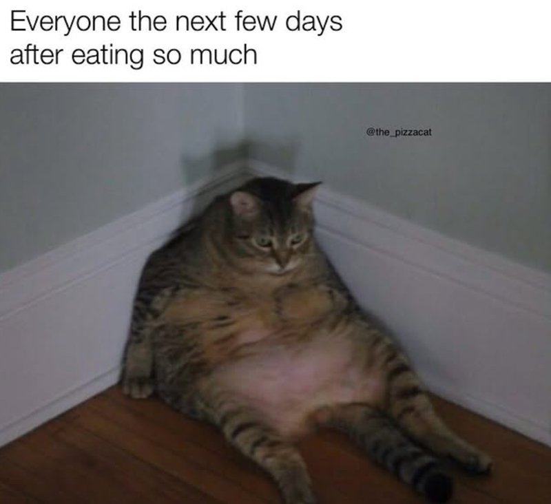 Everyone the next few days after eating so much @the_pizzacat