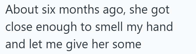 About six months ago, she got close enough to smell my hand and let me give her some