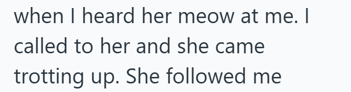 when I heard her meow at me. I called to her and she came trotting up. She followed me