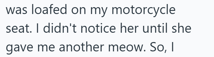 was loafed on my motorcycle seat. I didn't notice her until she gave me another meow. So, I
