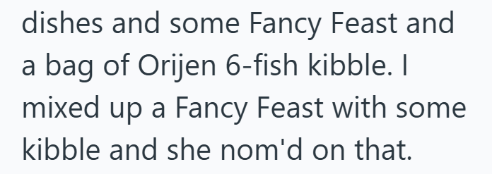 dishes and some Fancy Feast and a bag of Orijen 6-fish kibble. I mixed up a Fancy Feast with some kibble and she nom'd on that.