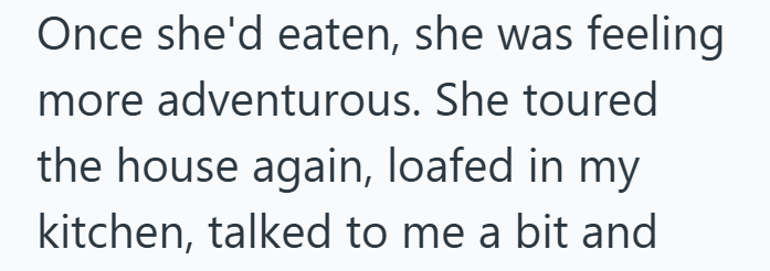 Once she'd eaten, she was feeling more adventurous. She toured the house again, loafed in my kitchen, talked to me a bit and