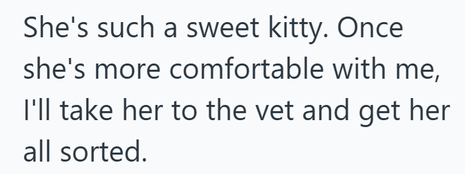She's such a sweet kitty. Once she's more comfortable with me, I'll take her to the vet and get her all sorted.