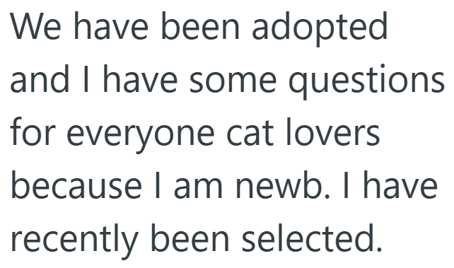We have been adopted and I have some questions for everyone cat lovers because I am newb. I have recently been selected.