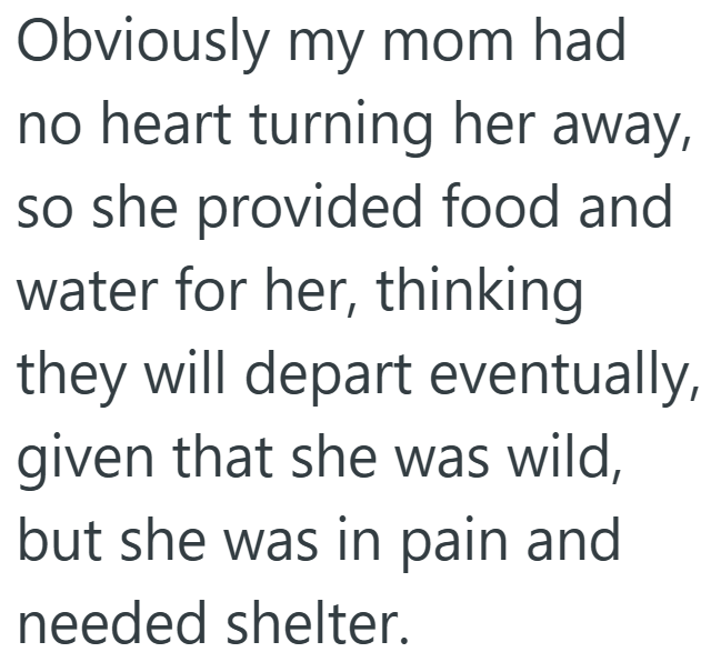 Obviously my mom had no heart turning her away, so she provided food and water for her, thinking they will depart eventually, given that she was wild, but she was in pain and needed shelter.