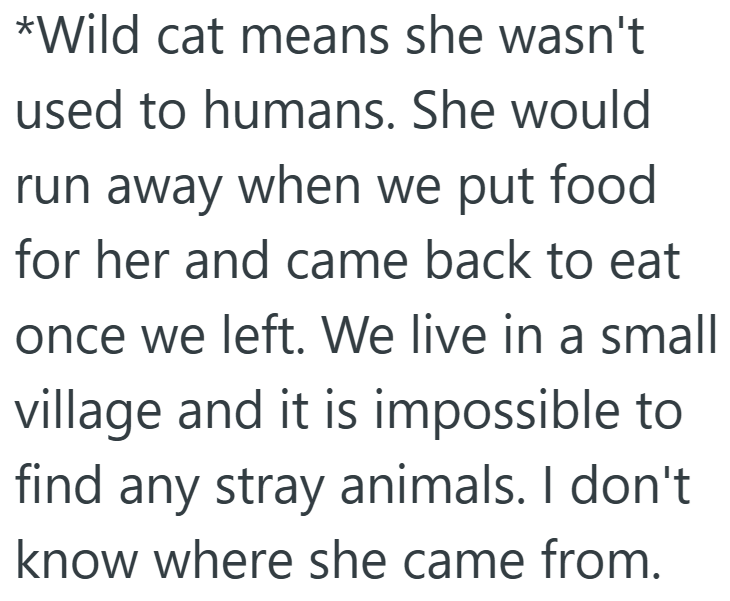 *Wild cat means she wasn't used to humans. She would run away when we put food for her and came back to eat once we left. We live in a small village and it is impossible to find any stray animals. I don't know where she came from.