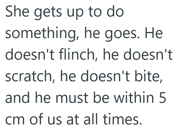 She gets up to do something, he goes. He doesn't flinch, he doesn't scratch, he doesn't bite, and he must be within 5 cm of us at all times.