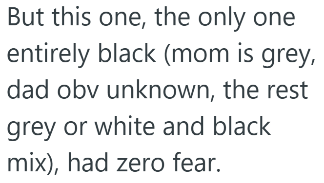 But this one, the only one entirely black (mom is grey, dad obv unknown, the rest grey or white and black mix), had zero fear.