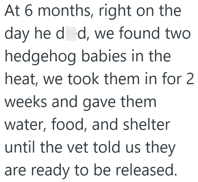 At 6 months, right on the day he did, we found two hedgehog babies in the heat, we took them in for 2 weeks and gave them water, food, and shelter until the vet told us they are ready to be released.