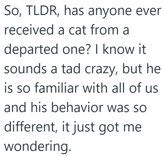 So, TLDR, has anyone ever received a cat from a departed one? I know it sounds a tad crazy, but he is so familiar with all of us and his behavior was so different, it just got me wondering.