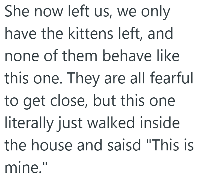 She now left us, we only have the kittens left, and none of them behave like this one. They are all fearful to get close, but this one literally just walked inside the house and saisd "This is mine."