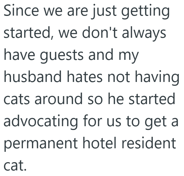Since we are just getting started, we don't always have guests and my husband hates not having cats around so he started advocating for us to get a permanent hotel resident cat.