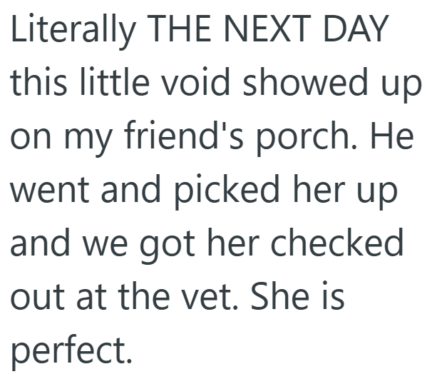 Literally THE NEXT DAY this little void showed up on my friend's porch. He went and picked her up and we got her checked out at the vet. She is perfect.