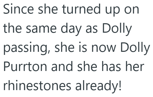 Since she turned up on the same day as Dolly passing, she is now Dolly Purrton and she has her rhinestones already!
