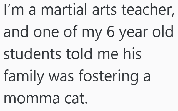 I'm a martial arts teacher, and one of my 6 year old students told me his family was fostering a momma cat.