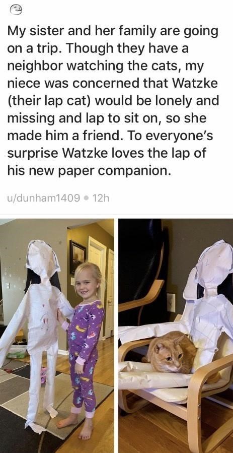 My sister and her family are going on a trip. Though they have a neighbor watching the cats, my niece was concerned that Watzke (their lap cat) would be lonely and missing and lap to sit on, so she made him a friend. To everyone's surprise Watzke loves the lap of his new paper companion. u/dunham1409 • 12h