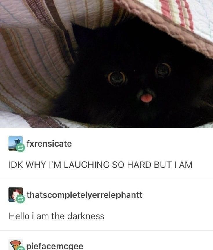 fxrensicate IDK WHY I'M LAUGHING SO HARD BUT I AM thatscompletelyerrelephantt Hello i am the darkness piefacemcgee