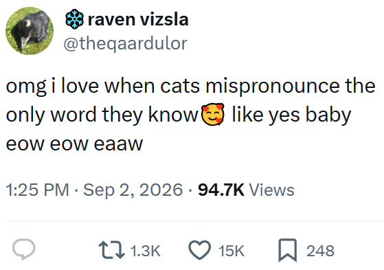 raven vizsla @theqaardulor omg i love when cats mispronounce the only word they know like yes baby eow eow eaaw • 1:25 PM Sep 2, 2026 94.7K Views 1.3K 15K ☐ 248