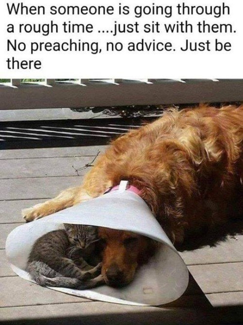 When someone is going through a rough time....just sit with them. No preaching, no advice. Just be there
