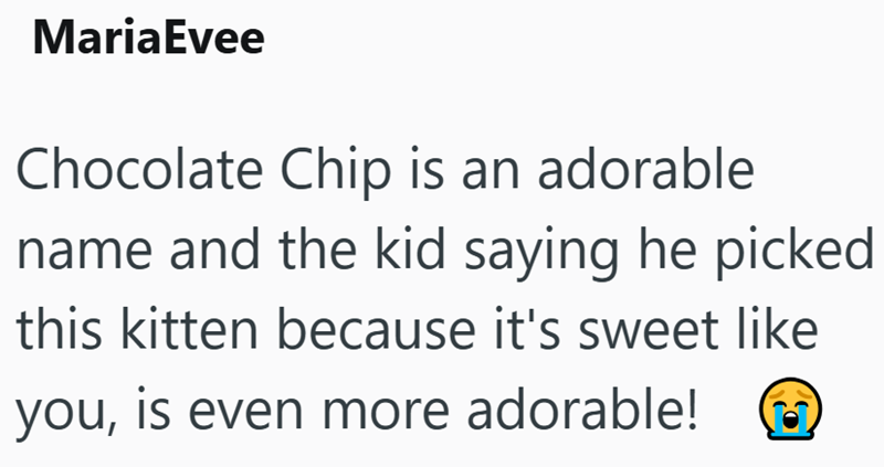 MariaEvee Chocolate Chip is an adorable name and the kid saying he picked this kitten because it's sweet like you, is even more adorable!