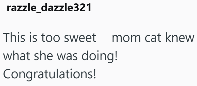 mom cat knew razzle_dazzle321 This is too sweet what she was doing! Congratulations!