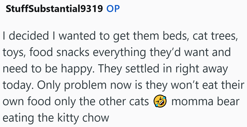 StuffSubstantial9319 OP I decided I wanted to get them beds, cat trees, toys, food snacks everything they'd want and need to be happy. They settled in right away today. Only problem now is they won't eat their own food only the other cats ②momma bear eating the kitty chow