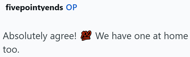 fivepointyends OP Absolutely agree! 100 We have one at home too.