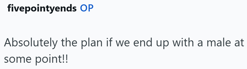 fivepointyends OP Absolutely the plan if we end up with a male at some point!!