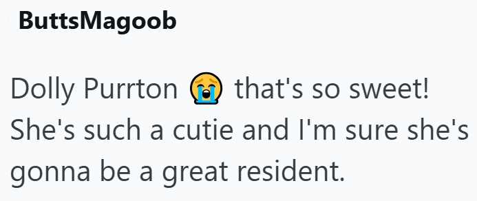 ButtsMagoob Dolly Purrton that's so sweet! She's such a cutie and I'm sure she's gonna be a great resident.