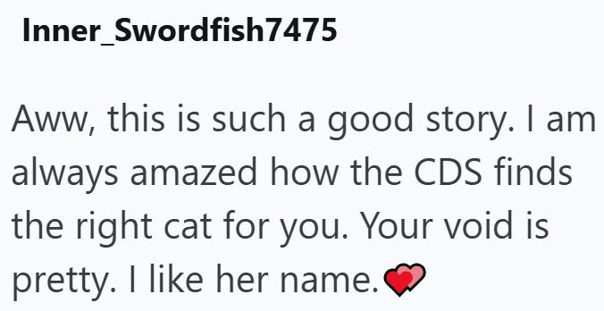 Inner Swordfish7475 Aww, this is such a good story. I am always amazed how the CDS finds the right cat for you. Your void is pretty. I like her name.