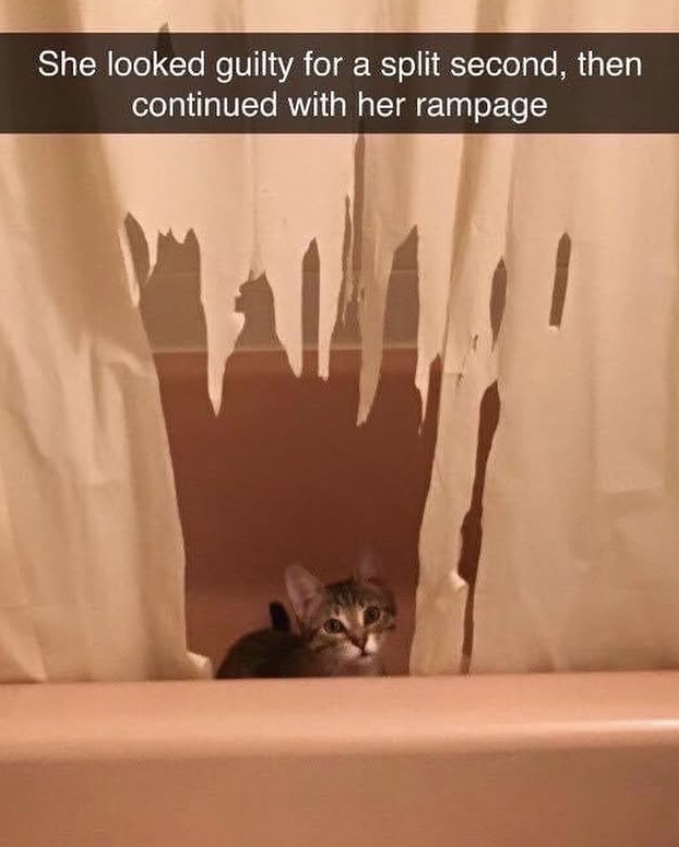She looked guilty for a split second, then continued with her rampage