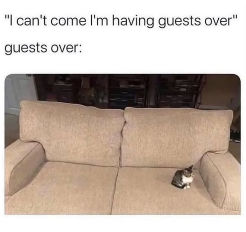 "I can't come I'm having guests over" guests over: