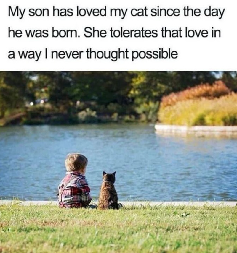 My son has loved my cat since the day he was born. She tolerates that love in a way I never thought possible