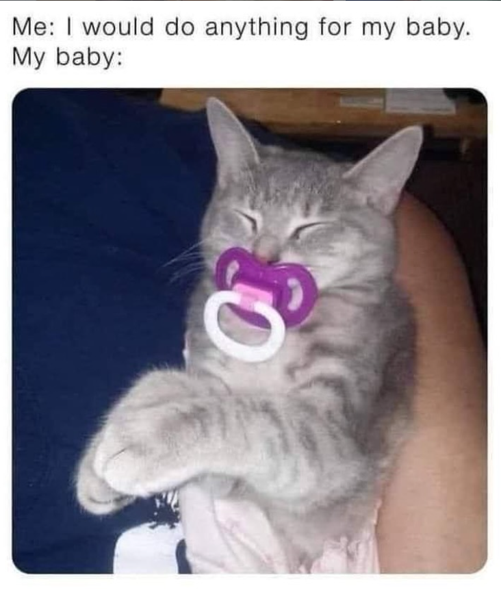 Me: I would do anything for my baby. My baby: 03