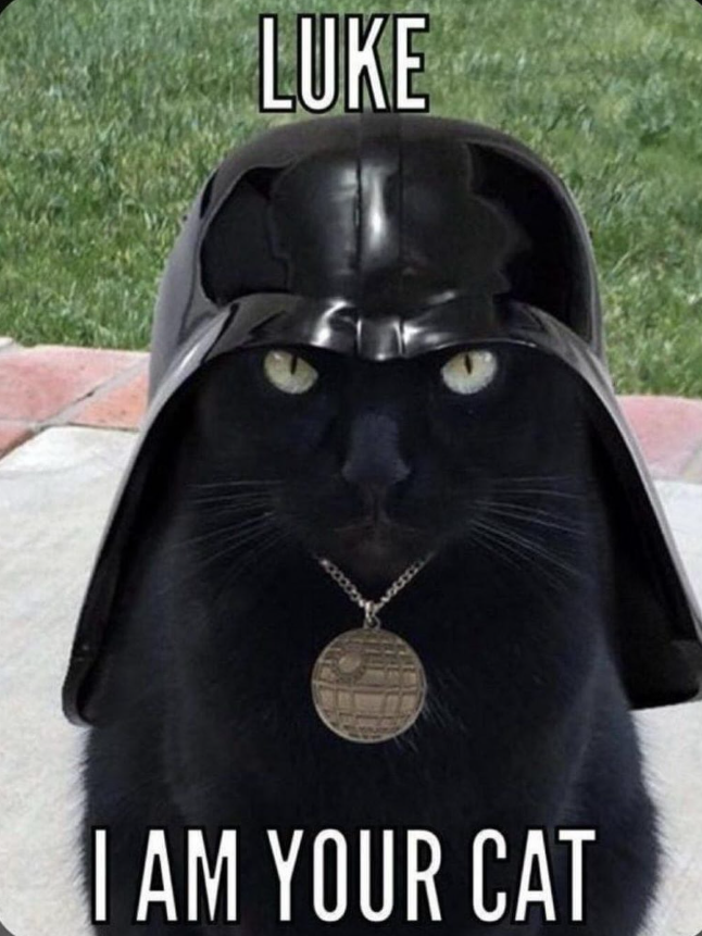 LUKE I AM YOUR CAT