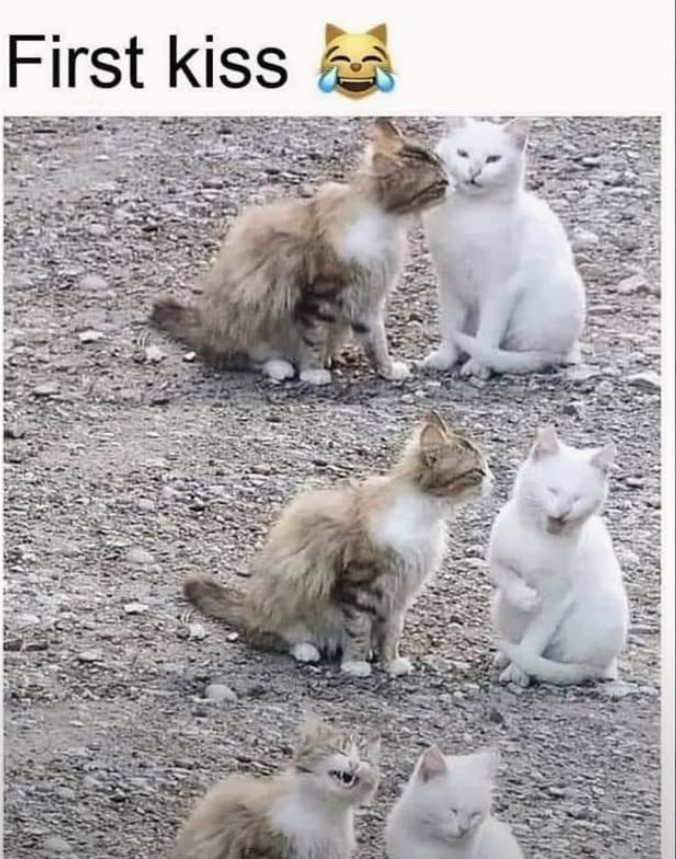 First kiss