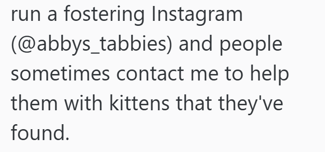 run a fostering Instagram (@abbys_tabbies) and people sometimes contact me to help them with kittens that they've found.
