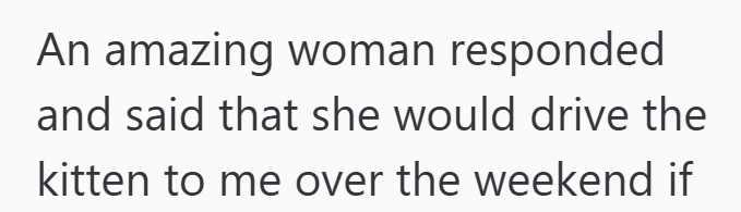 An amazing woman responded and said that she would drive the kitten to me over the weekend if