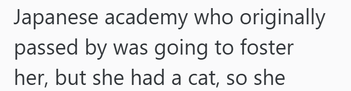 Japanese academy who originally passed by was going to foster her, but she had a cat, so she