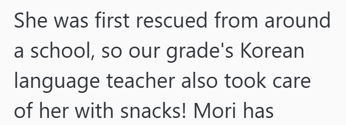 She was first rescued from around a school, so our grade's Korean language teacher also took care of her with snacks! Mori has