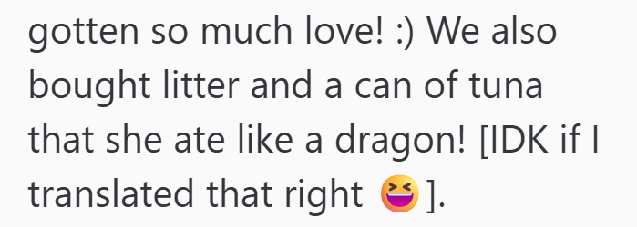 gotten so much love! :) We also bought litter and a can of tuna that she ate like a dragon! [IDK if I translated that right ].