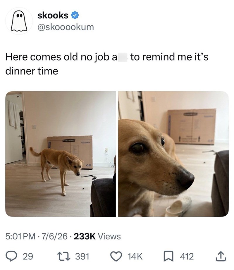 skooks @skooookum Here comes old no job a dinner time BANKERS BOX 5:01 PM 7/6/26 233K Views • 29 1391 to remind me it's 14K ☐ 412 ↑