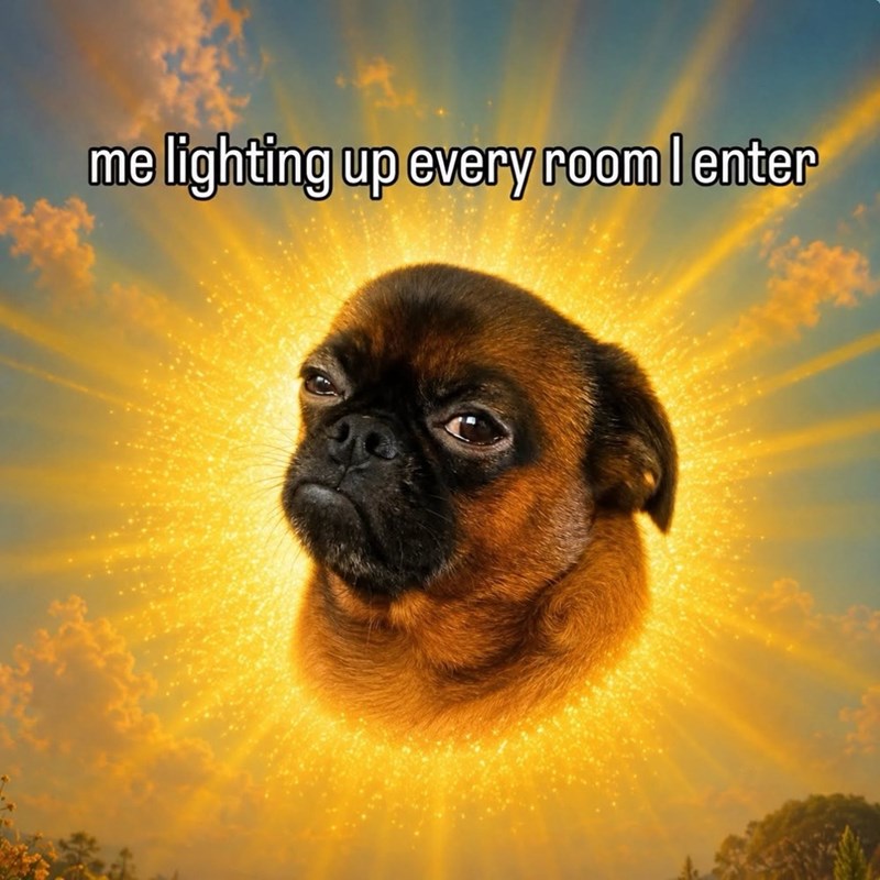 me lighting up every room I enter