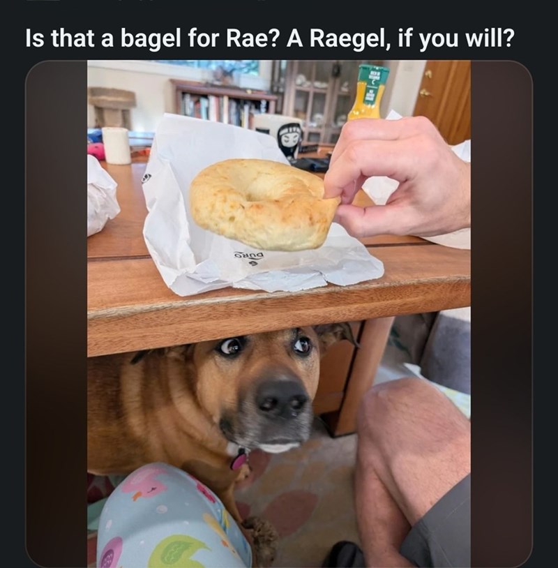 Is that a bagel for Rae? A Raegel, if you will?