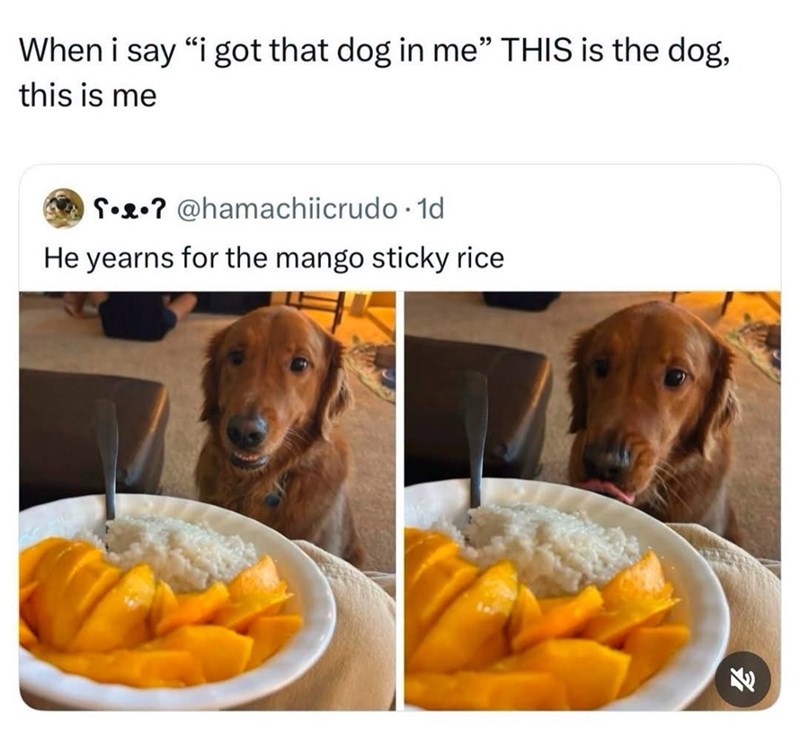 When i say "i got that dog in me" THIS is the dog, this is me ? @hamachiicrudo. 1d He yearns for the mango sticky rice