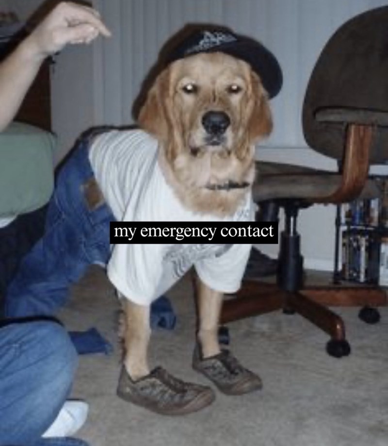 my emergency contact